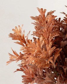 Větvička filodendronu 40 cm