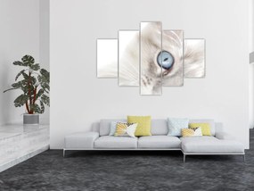Obraz - Mačka s modrými očami (150x105 cm)