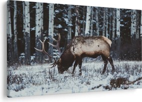 Obraz - jeleň v zime (90x60 cm)