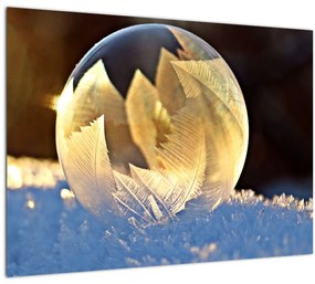 Obraz zamrznutej bubliny (70x50 cm)