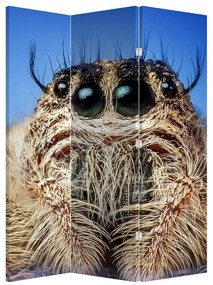 Paraván - Detail pavúka (126x170 cm)