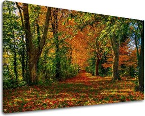 Obraz na stenu STROMY ST033E11