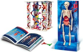 Vedecká zábava Ľudské telo Poľský jazyk Clementoni 60249