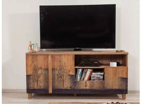 Dizajnový TV stolík Aaralyn 160 cm borovica atlantská