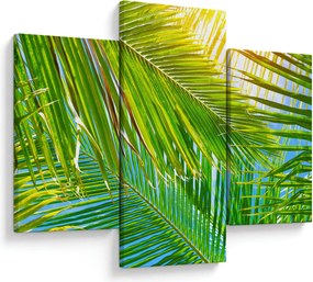 Obraz - Palmové listy (90x60 cm)