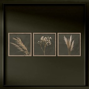Obrazy v súprave 3 ks 30x30 cm Pampas – Styler