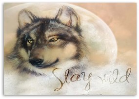 Obraz na plátně, Vlk Zvíře Příroda Béžová - 60x40 cm