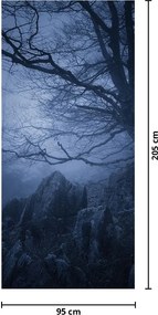 Fototapeta na dvere - Temný les (95x205cm)