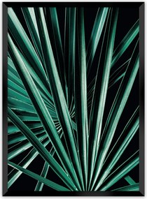 Plagát Dark Palm Tree