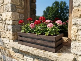 AMADEA Drevený obal s hrantíkom tmavý, 52x21,5x17cm, český výrobok