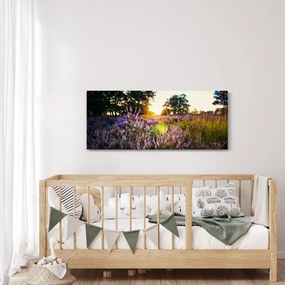 Obraz poľa levanduľou (120x50 cm)