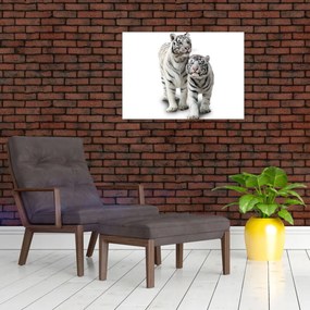 Sklenený obraz - Biely tiger (70x50 cm)
