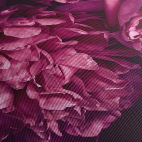 Obraz - Kytica pivoniek (90x60 cm)