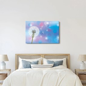 Obraz - Púpava vo vetre (90x60 cm)