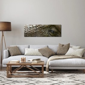 Obraz - Detailné fotografie starého slonieho oka (s hodinami) (90x30 cm)