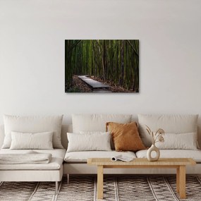 Obraz - Medzi bambusy (70x50 cm)