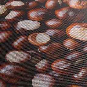 Obraz - Zrelé gaštany (150x105 cm)