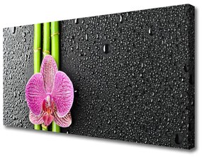 Obraz Canvas Bambus kvet rastlina príroda 120x60 cm