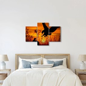 Obraz siluety dravca (90x60 cm)
