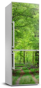 Nálepka na chladničku samolepiace Zelený les FridgeStick-70x190-f-104709227