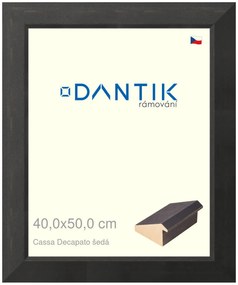 DANTIK rám na obraz 40x50 | Caa Decapato černá (Sklo Čiré)