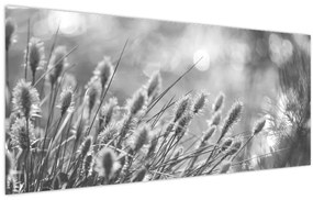 Obraz - Béžová soft grass N⁰1 (120x50 cm)