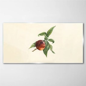 Obraz na skle Ovocie vetva listy