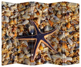 Paraván - Morská hviezdica (210x170 cm)