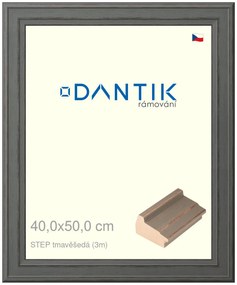 DANTIK rám na obraz 40x50 | STEP tmavěšedá (Plexi Čiré)