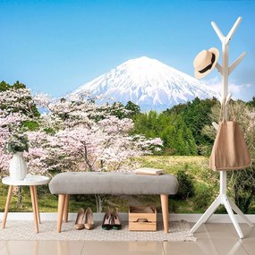 Fototapeta sopka Fuji - 150x100