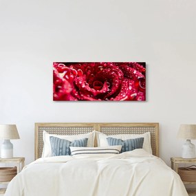 Obraz kvetu červenej ruže (120x50 cm)