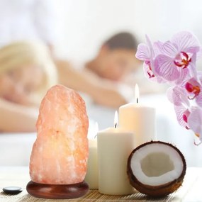 Soľná lampa SALLY 1xE14/25W/230V