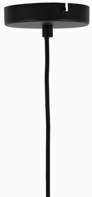 Sivé stropné svietidlo so skleneným tienidlom ø 21 cm Lekar - Light &amp; Living