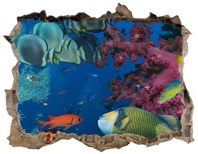 Díra 3D fototapeta na stěnu Koralový útes nd-k-64308436