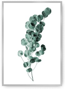 Plagát Eucalyptus Emerald Green