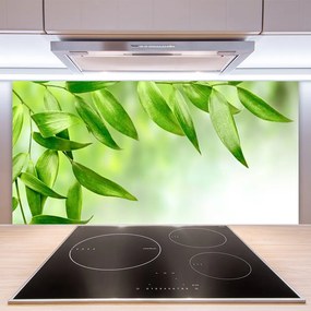 Sklenený obklad Do kuchyne Zelené listy príroda 125x50 cm