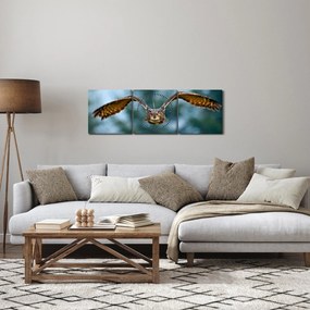 Obraz - Sova pri lete (s hodinami) (90x30 cm)
