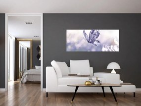 Obraz - Motýľ a levanduľa (120x50 cm)