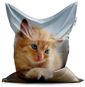 Sablio Sedací vak z vlastní fotografie: 200x140 cm