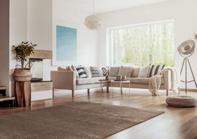 Koberce Breno Kusový koberec DOLCE VITA 01/BBB, hnedá,67 x 110 cm