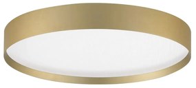 LED stmievateľné zlaté moderné stropné svietidlo Roi 40