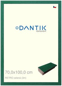 DANTIK rám na obraz 70x100 | RETRO zelená (Plexi Čiré)