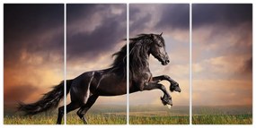 Kôň - obraz