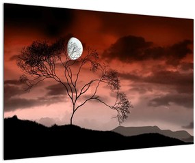 Obraz - Mesiac osvetľujúce noc (90x60 cm)