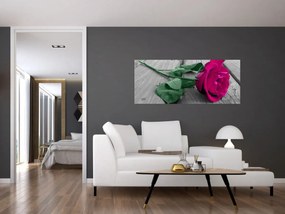 Obraz - Ružová ruža so zelenou stonkou (120x50 cm)