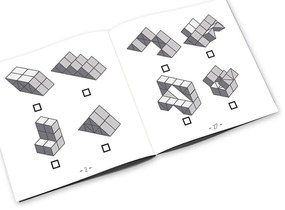 Hlavolam Dynacube – RecentToys