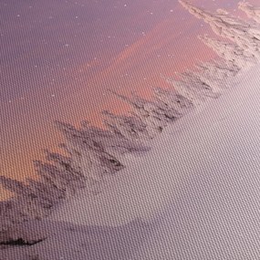 Obraz - Stromy pod snehovou prikrývkou (70x50 cm)