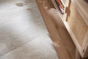 Koberec Ragolle Argentum 63464 6979