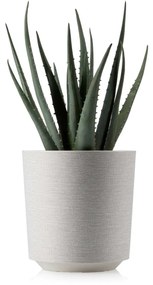 PLASTOVÝ KVETINÁČ ALOE TX 19,5X20 CM KRÉMOVÁ