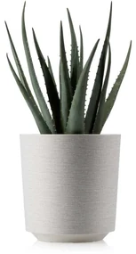 PLASTOVÝ KVETINÁČ ALOE TX 19,5X20 CM KRÉMOVÁ